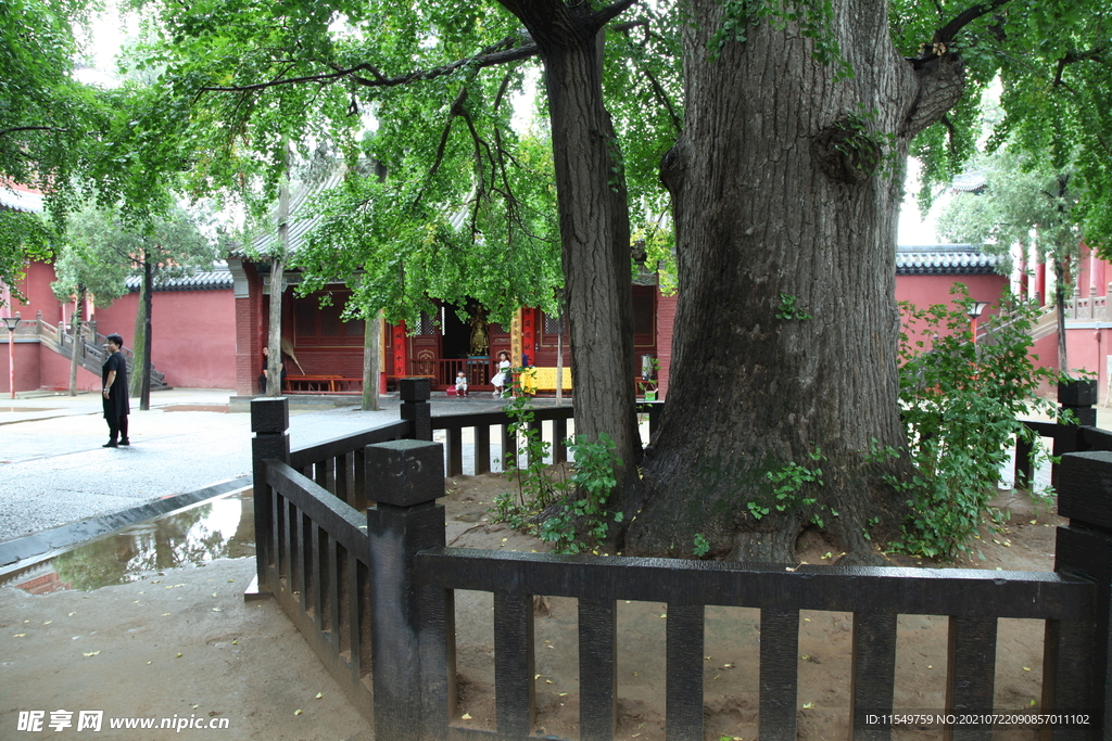 法王寺内景