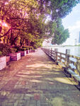 小路