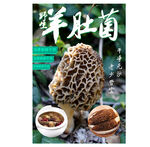 羊肚菌