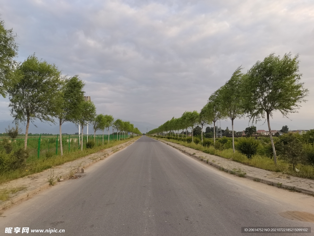 美丽的乡村道路风景