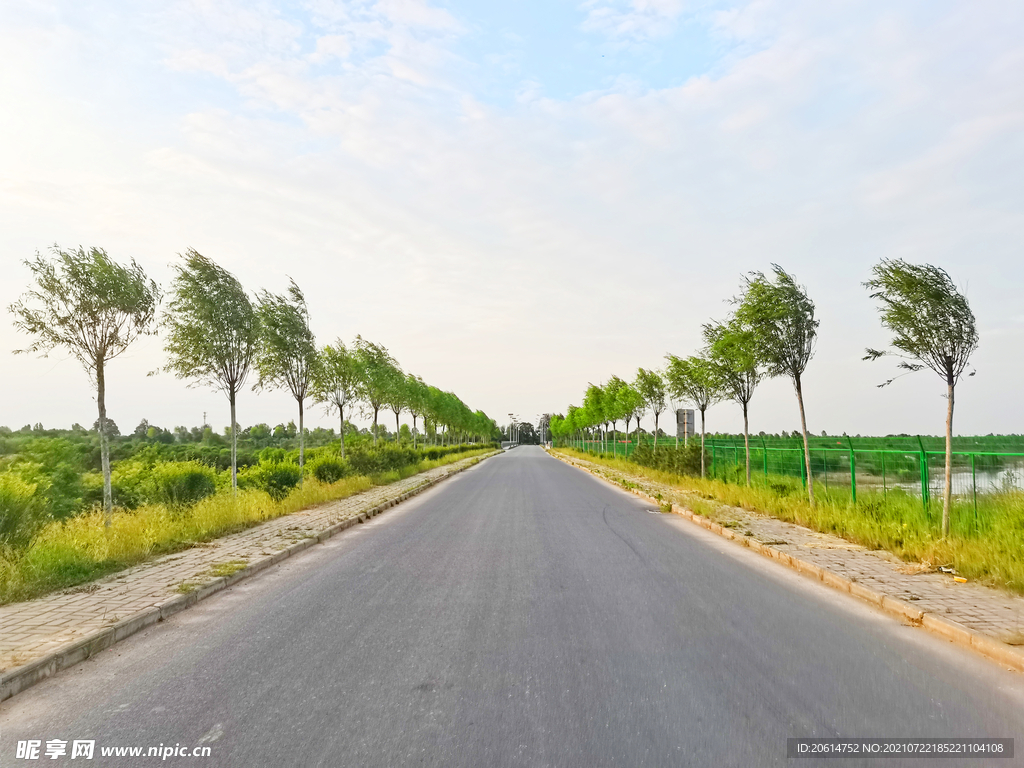 空荡荡的乡村道路风景