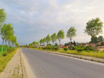 美丽的乡村道路风景