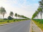 美丽的乡村道路风景