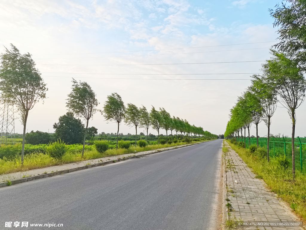 美丽的乡村道路风景