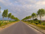 美丽的乡村道路风景