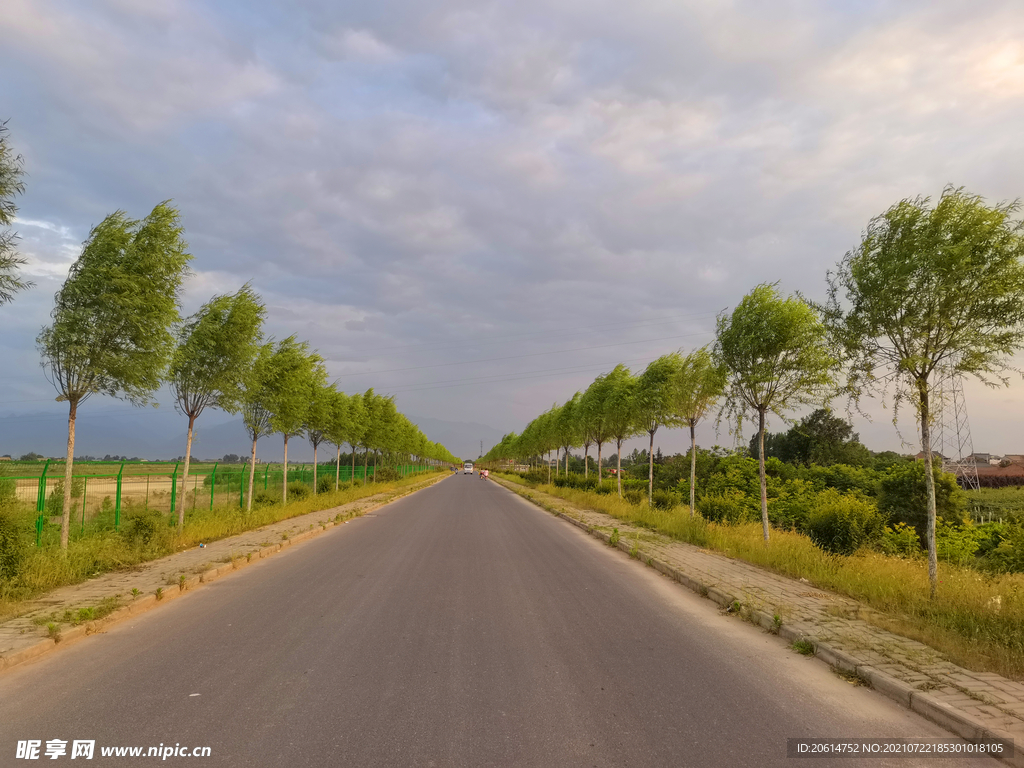 美丽的乡村道路风景