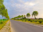 美丽的乡村道路风景