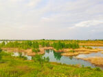 美丽的河道风景