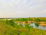 美丽的河道风景