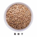 葛缕子免扣素材