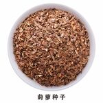 莳萝种子免抠素材