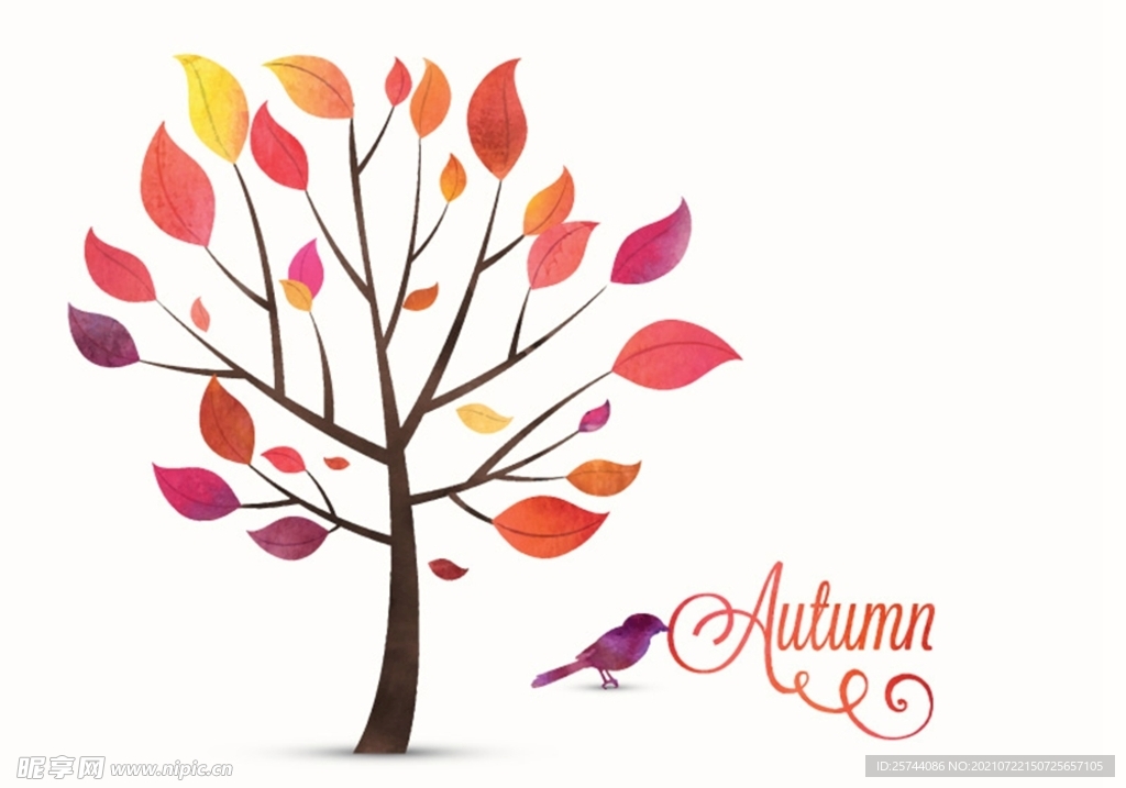 秋季树木和鸟