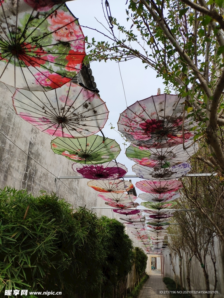 花伞