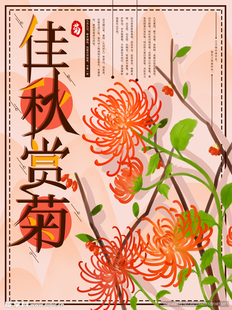 佳人赏菊