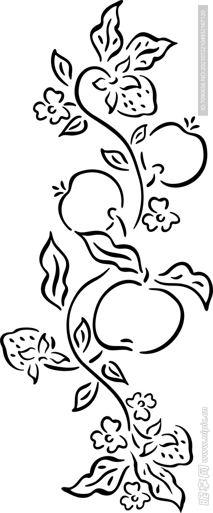 黑白手绘植物 