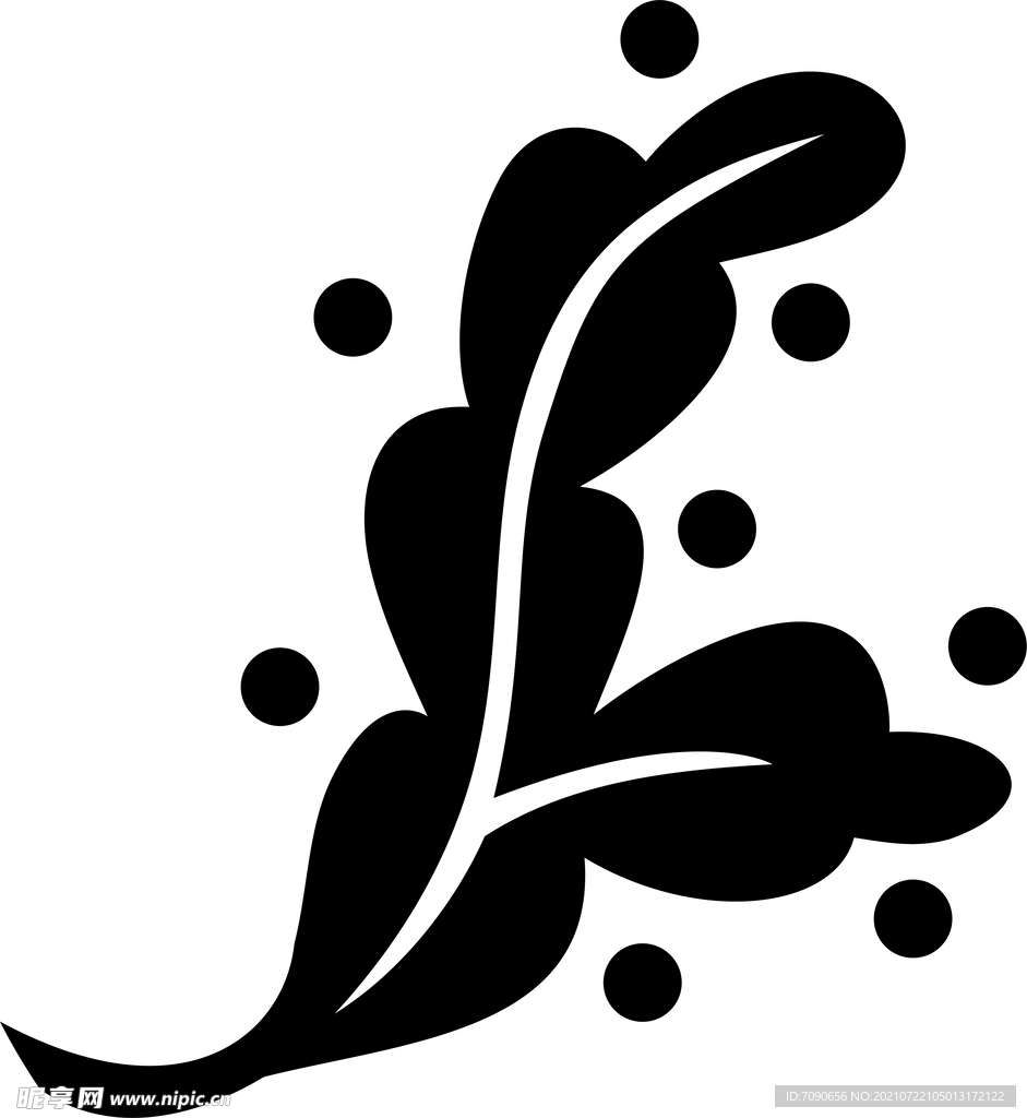 黑白手绘植物 