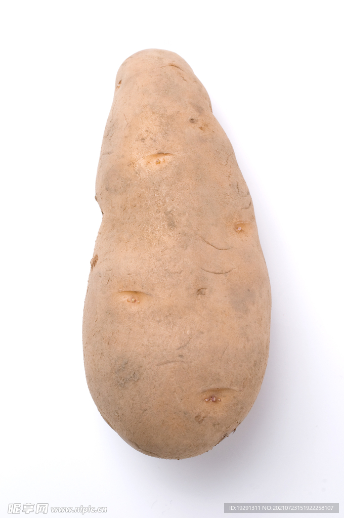 土豆