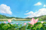 池塘里的荷花美景