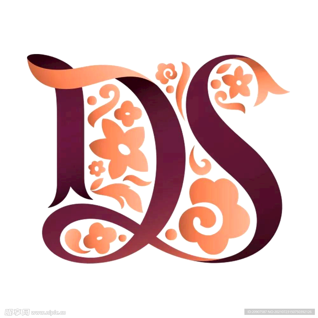 DS标志  LOGO