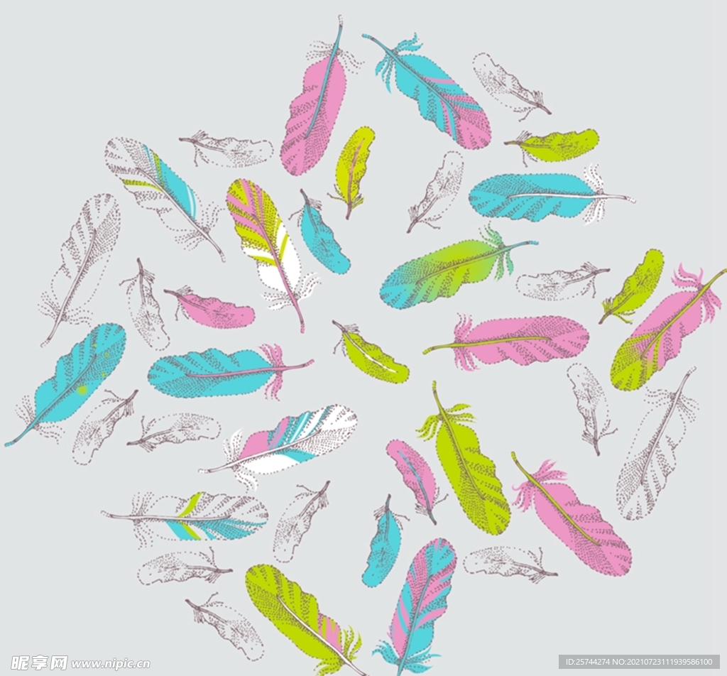 缤纷彩绘羽毛