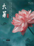 大暑海报