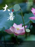 大暑海报