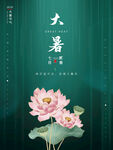 大暑海报