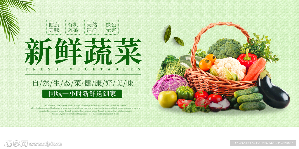   新鲜蔬菜  