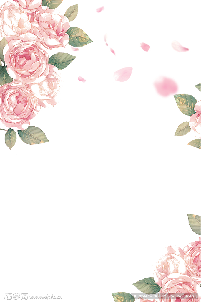 盛开的花朵美景