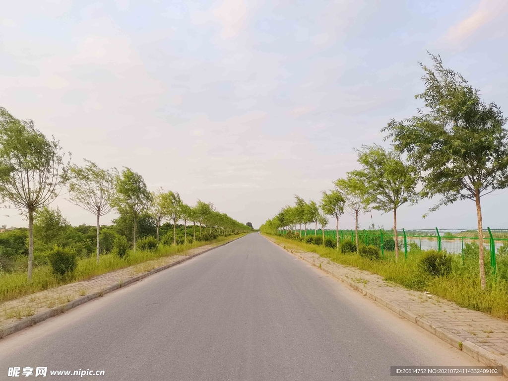 美丽的乡村道路风景