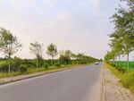 美丽的乡村道路风景