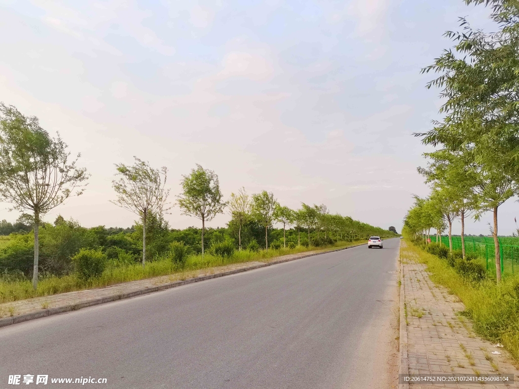 美丽的乡村道路风景