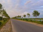 美丽的乡村道路风景