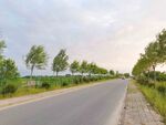 美丽的乡村道路风景