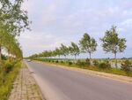 美丽的乡村道路风景