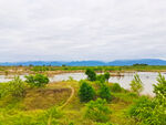 美丽的河道风景