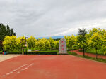 美丽的公园风景