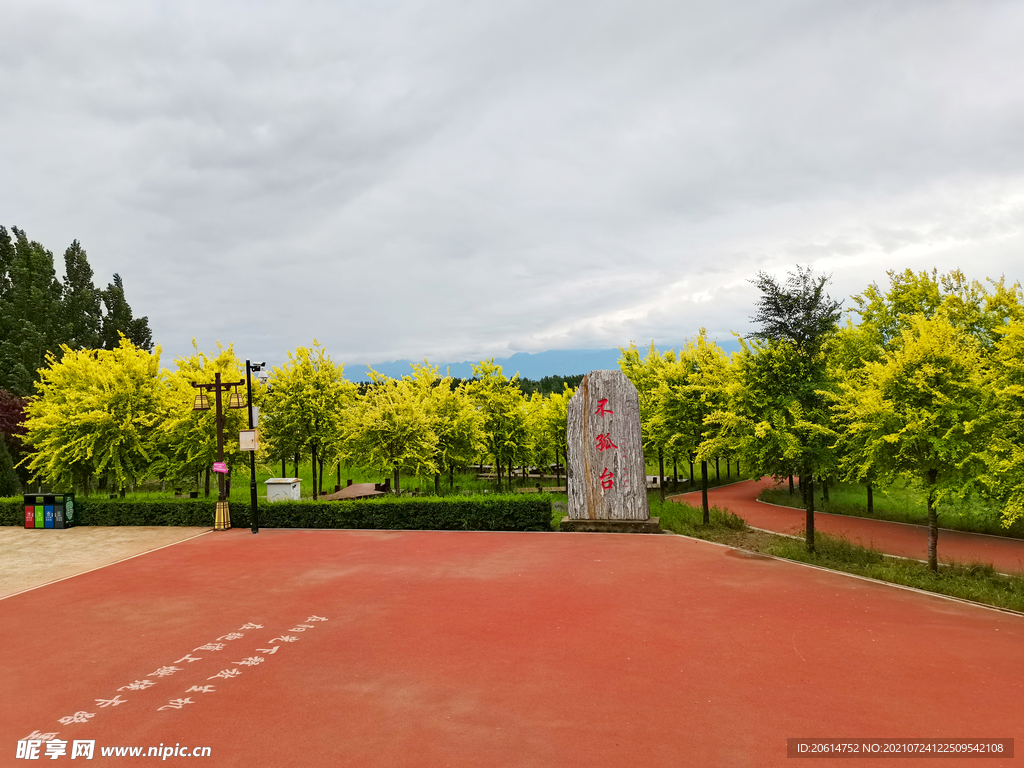 美丽的公园风景