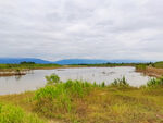 美丽的河道风景