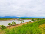 乡村河道美景