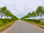 乡村道路风景