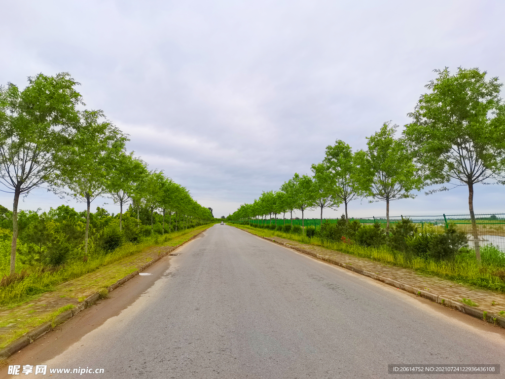 乡村道路风景