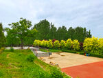 美丽的公园风景