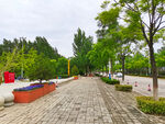 美丽的公园风景