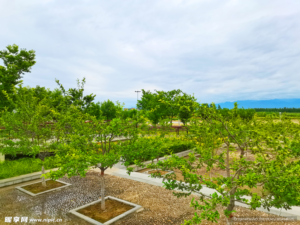 美丽的公园风景