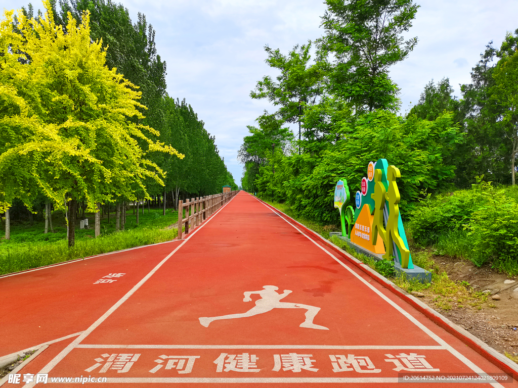 美丽的公园风景