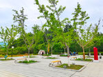 美丽的公园风景