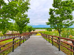 美丽的公园风景