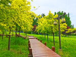 美丽的公园风景