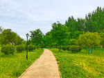 美丽的公园风景